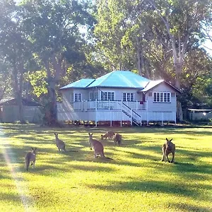 Lodge Lake Weyba Noosa & Kangaroos